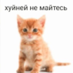 mehok