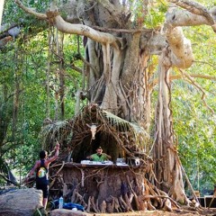 _FORESTFREAK_