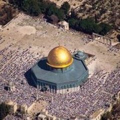 Abdul-Rahman Shaaban