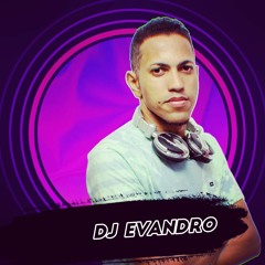 DJ Evandro / R E M I X E S/
