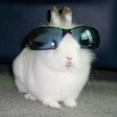 I will eat your kimchi