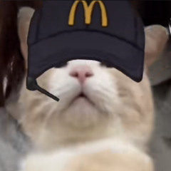 shi