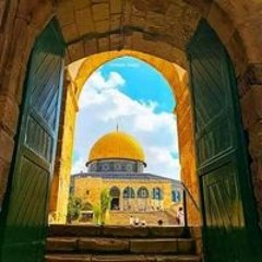 محمد محروس الجندي