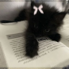 Diana🎀💗