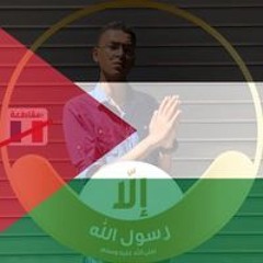 Mahmoud El-Henawy