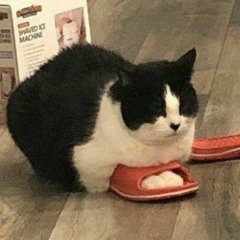 ‌