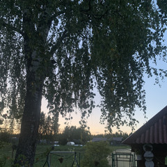 pluxury💼питер мой некрополь