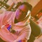Statixx