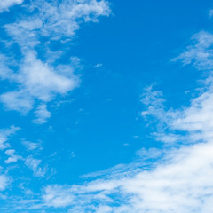 Niggs are my friends