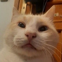 blonk