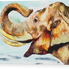 draekar out the apache tribe