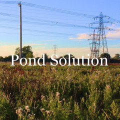 Pond Solution