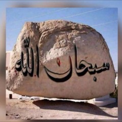 فوضت أمري لله فسيكفيكهم ألله وهو ألسميع ألعليم