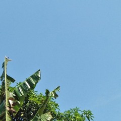 Nglilakne Kowe - Arya Galih COVER