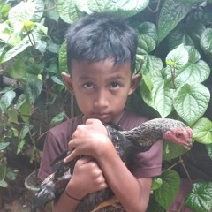 yahya