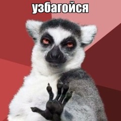 мскукан_2010_прада