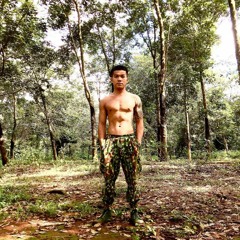 sơn phạm