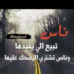أفندينا