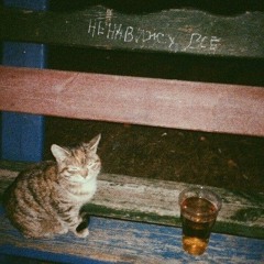 23:28