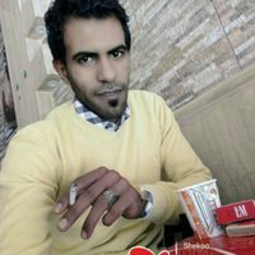 Ahmed El Shnawy’s avatar