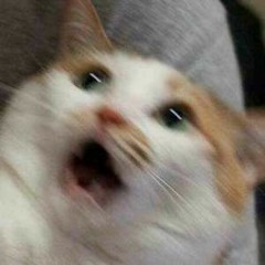 999
