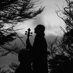 "Reflections" gated cello loops sketch