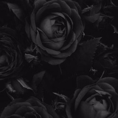 Тимур Хасанов