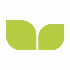 Democracy International