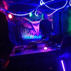 kurkipotku project