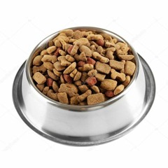 DOGFOOD777