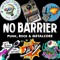 NO BARRIER
