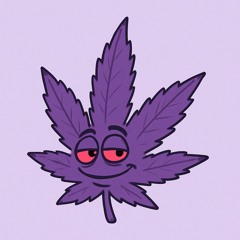 PrpleHayz