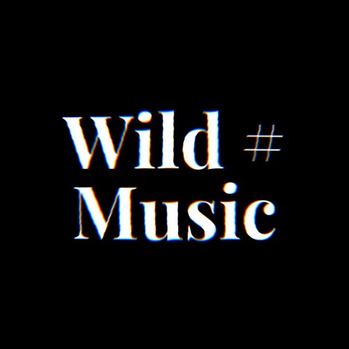 Wild Music Records’s avatar