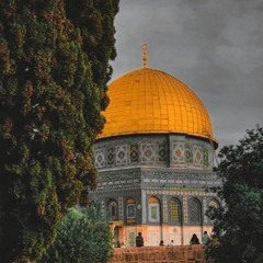 Mahmoud Saber