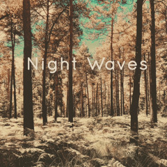 Night Waves #31  Junktion