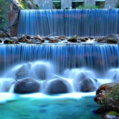 i like misic and art