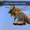 Draka_