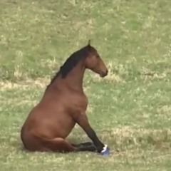Nyabun