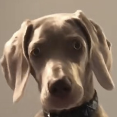 Teairon