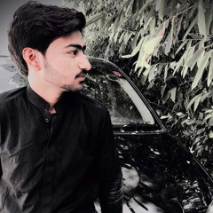 Ahsan Ali bhatti1