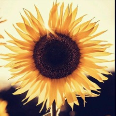 𝖤𝗌𝗆𝖾𝗋𝖺𝗅𝖽𝖺 𝖱𝗎𝖻𝗒 𝖱𝗈𝖽𝗋𝗂𝗀𝗎𝖾𝗓