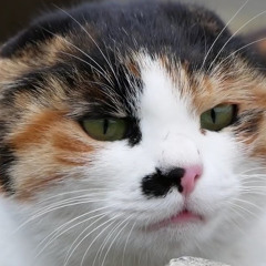 이과생