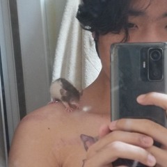 bubububeo