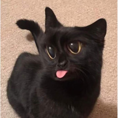 PADO