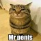 Mr.penis