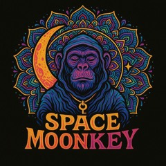 Space MoonKey