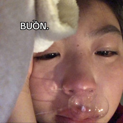 Diệp Ngọc Biên