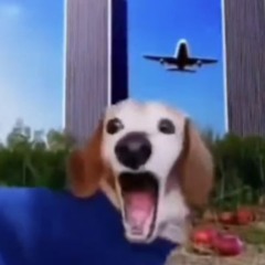 Al Qaeda Productions