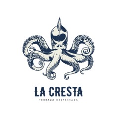 LA CRESTA DESPEINADA