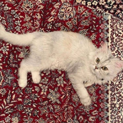 ‏.ıllıllı.ıllıllı.